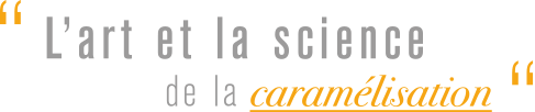 L'art et la science de la caramélisation
